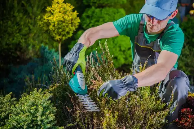 landscaping services Saltillo